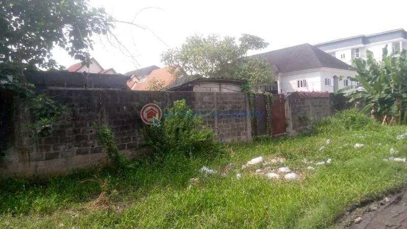 Mixed use Land For Sale Ogombo Ajah Lagos - 2