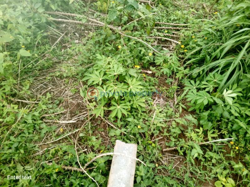 Land For Sale Agbede Ikorodu Lagos - 0