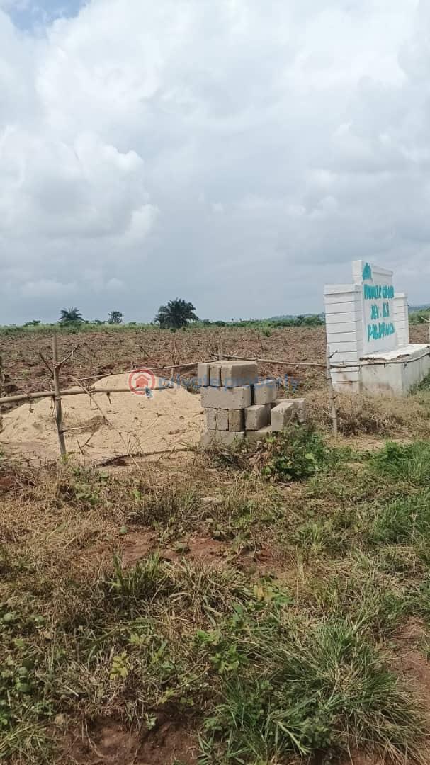 Land For Sale Ubulu Okiti Asaba Delta - 0