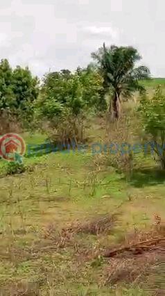 Mixed use Land For Sale Ogbomoso Oyo Road Atiba Oyo  - 3