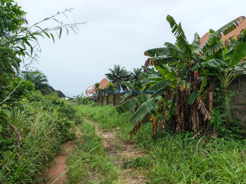 Residential Land For Sale Avu Close The Avu Market Square Owerri Imo - 9
