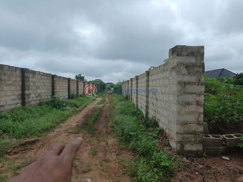 Residential Land For Sale Amakabo Avenue By White House Avu Owerri Imo - 4