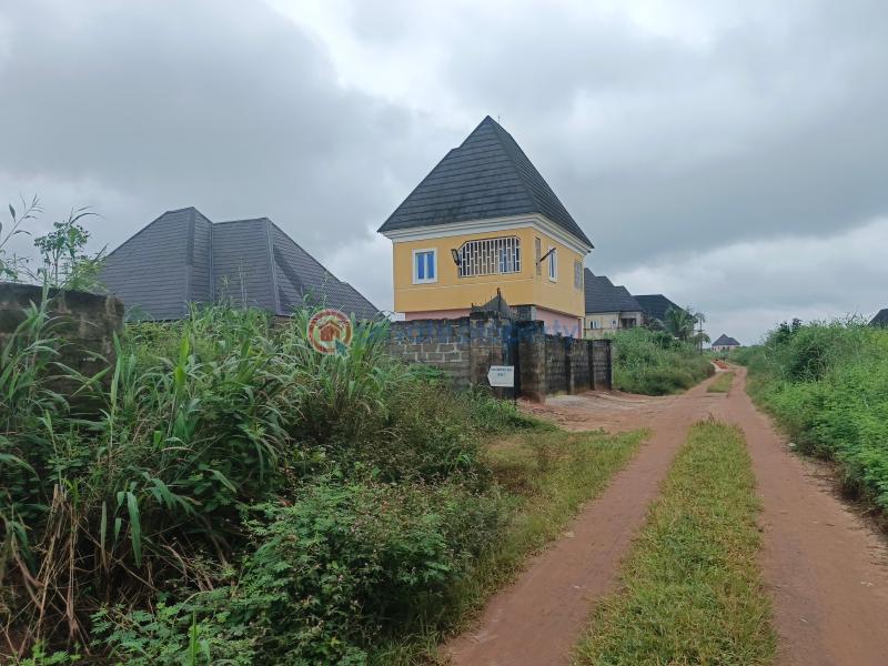 Residential Land For Sale Amakabo Avenue By White House Avu Owerri Imo - 8