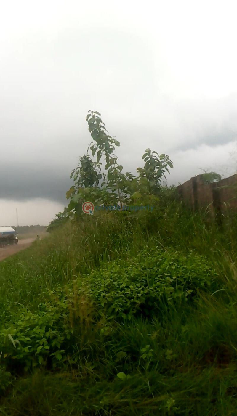 For sale Land Situate Along Benin Sapele Warri Expressway, Ologbo, Edo