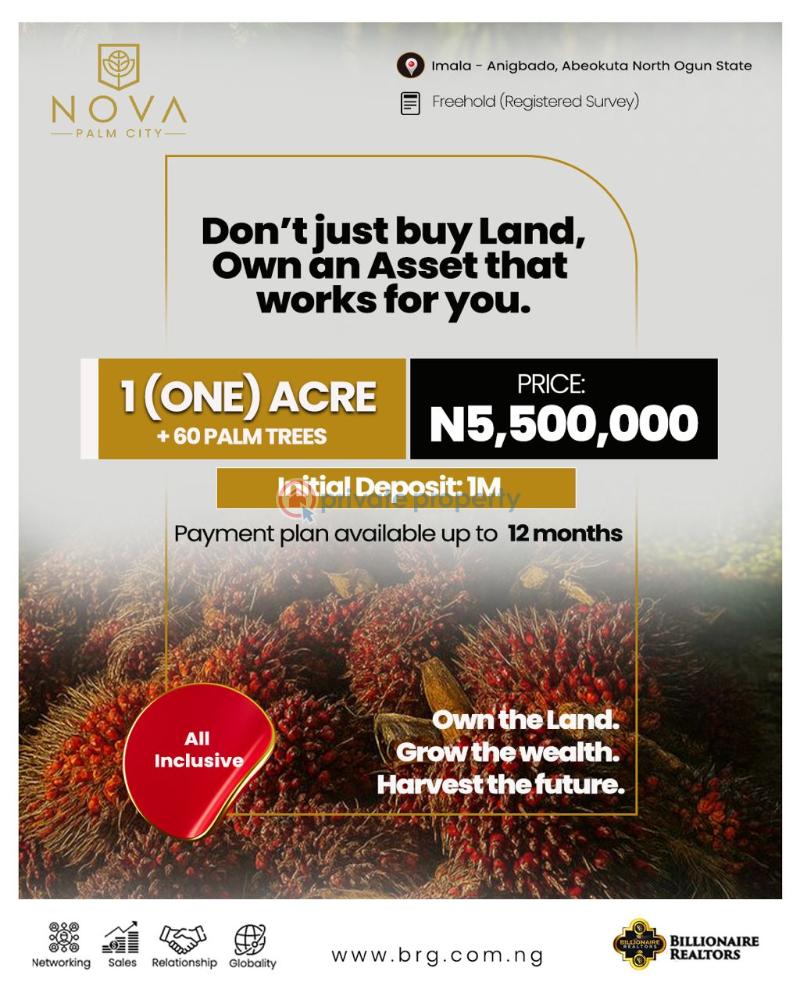 Mixed use Land For Sale Nova Palm City Imala Anigbado Abeokuta North Lga Ogun State Oba Obafemi Owode Ogun - 4