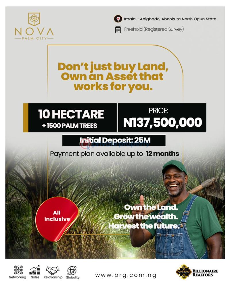 Mixed use Land For Sale Nova Palm City Imala Anigbado Abeokuta North Lga Ogun State Oba Obafemi Owode Ogun - 1