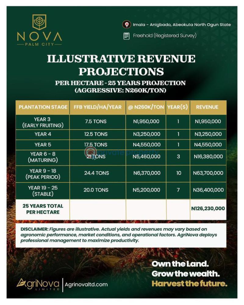 Mixed use Land For Sale Nova Palm City Imala Anigbado Abeokuta North Lga Ogun State Abeokuta Ogun - 1