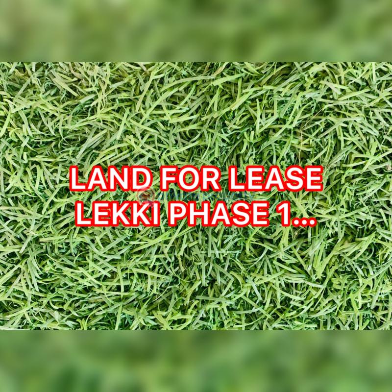 Commercial Property For Rent Lekki Phase 1 Lagos