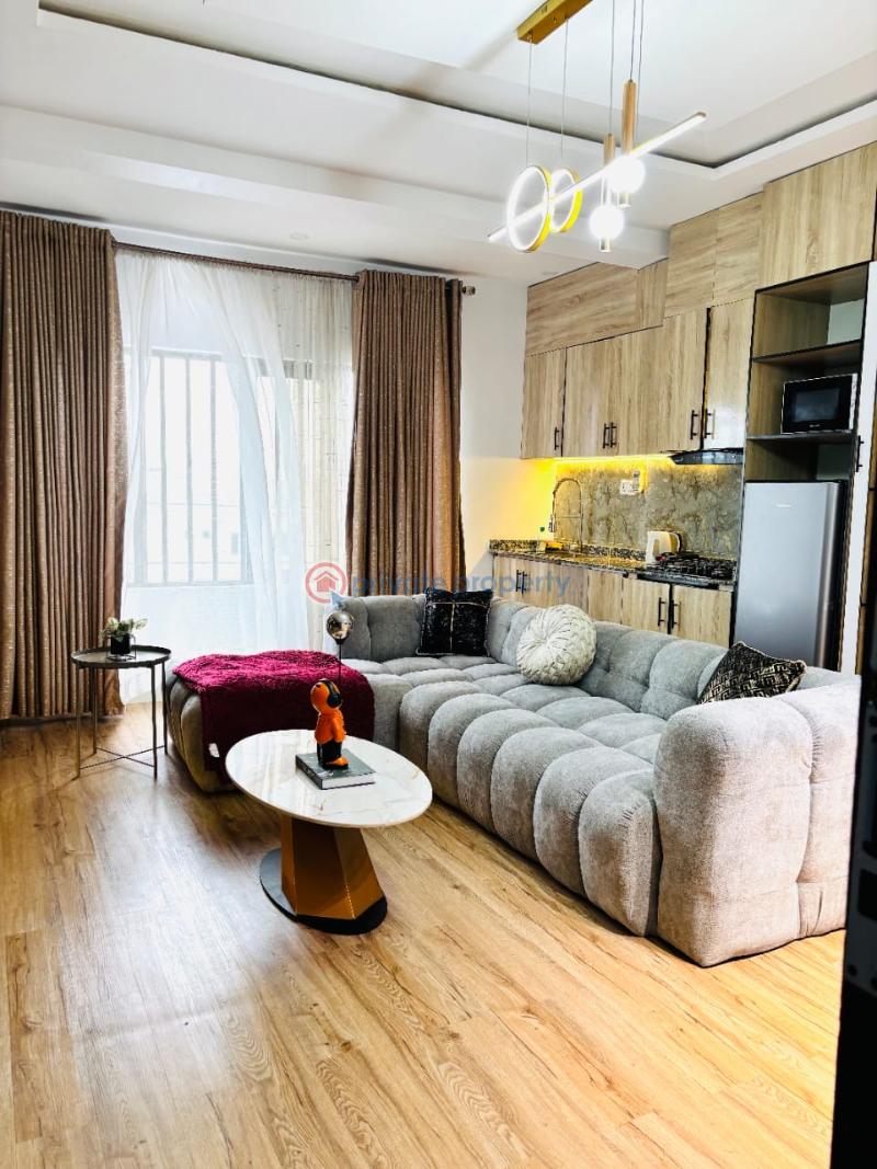 1 bedroom Mini Flat For Rent Ikate Elegushi Lekki Lagos - 10