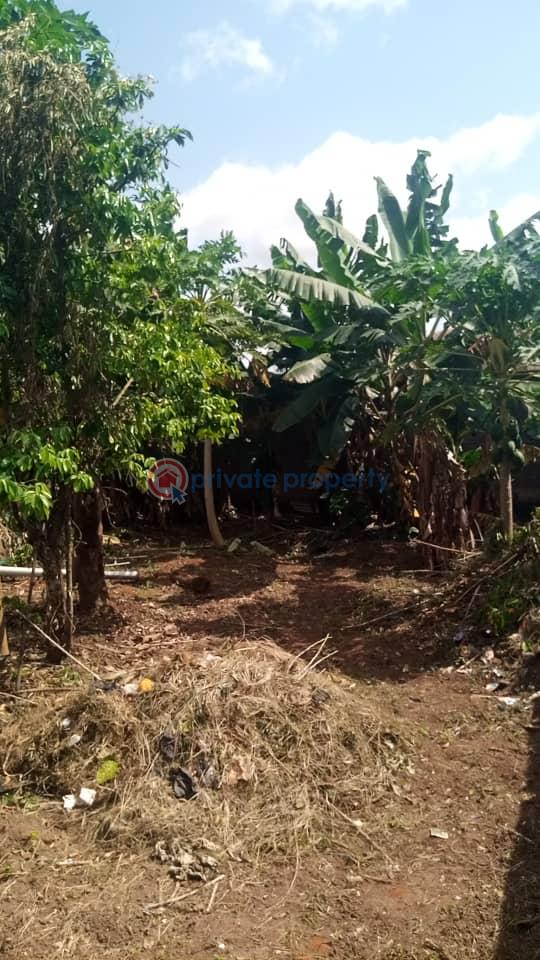 Lovely 3 bedroom bungalow - 8 3 bedroom Bungalow For Sale Igesu Ayobo Ipaja Lagos - 8