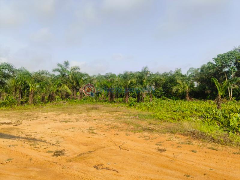 Mixed use Land For Sale Fortune Garden Obosima Ohaji/Egbema Imo - 2