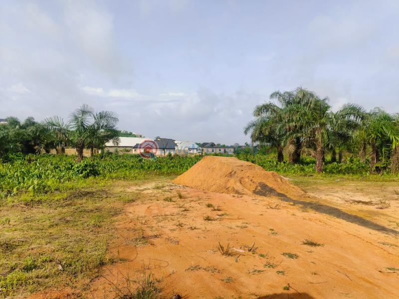 Mixed use Land For Sale Fortune Garden Obosima Ohaji/Egbema Imo - 4