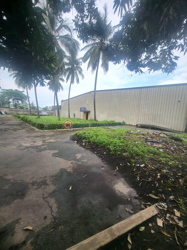 Mixed use Land For Sale Acme Road Ogba Lagos