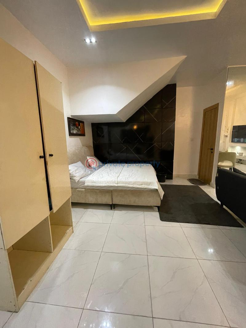 1 bedroom Mini Flat For Rent Spg Road Ologolo Lekki Lagos - 3