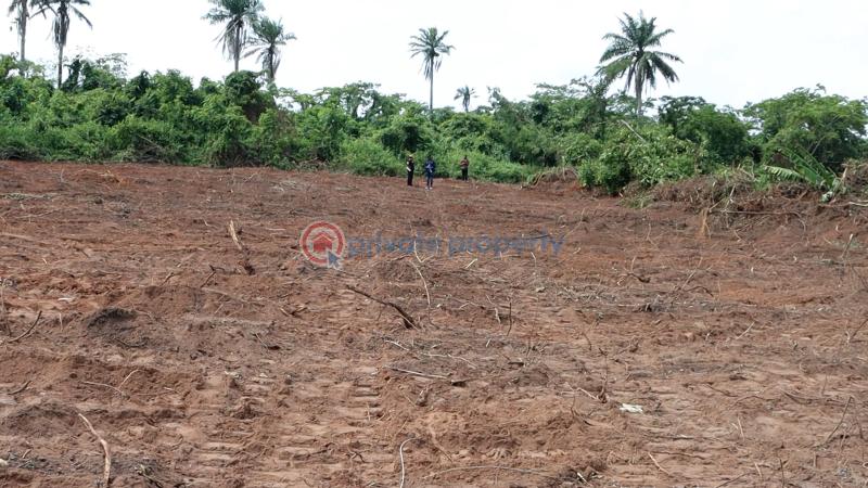Residential Land For Sale Ajebo Obafemi Owode Ogun - 14