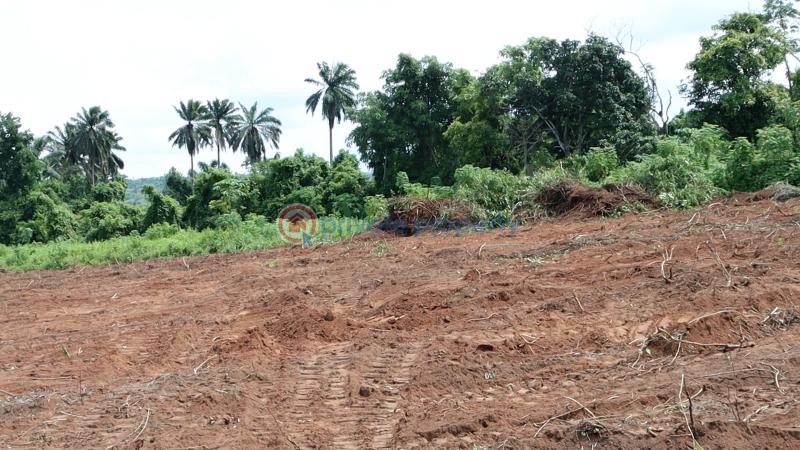 Residential Land For Sale Ajebo Obafemi Owode Ogun - 30