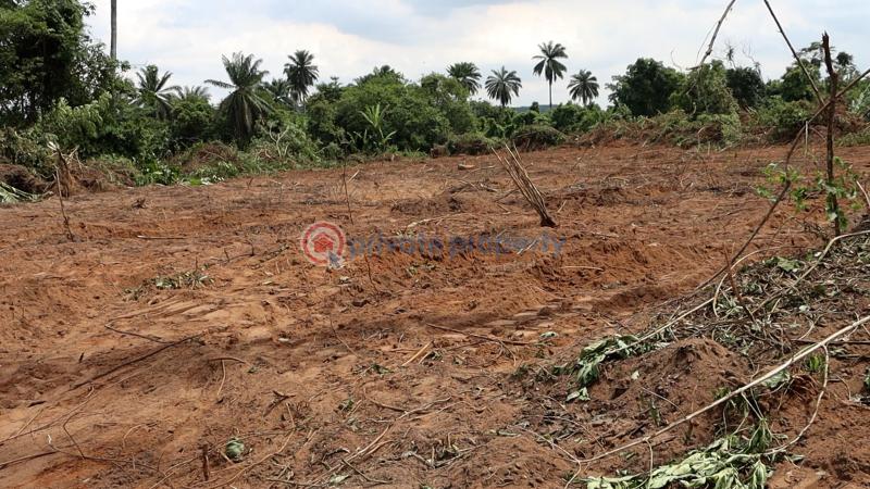 Residential Land For Sale Ajebo Obafemi Owode Ogun - 22