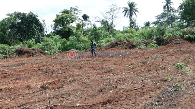 Residential Land For Sale Ajebo Obafemi Owode Ogun - 27