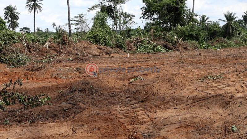 Residential Land For Sale Ajebo Obafemi Owode Ogun - 17