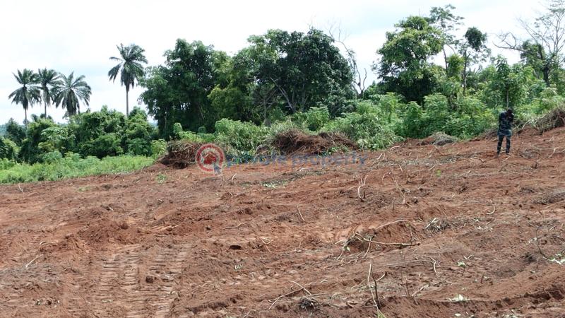 Residential Land For Sale Ajebo Obafemi Owode Ogun - 29