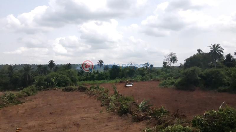 Residential Land For Sale Ajebo Obafemi Owode Ogun - 8