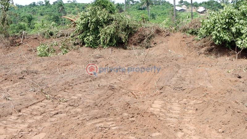 Residential Land For Sale Ajebo Obafemi Owode Ogun - 37