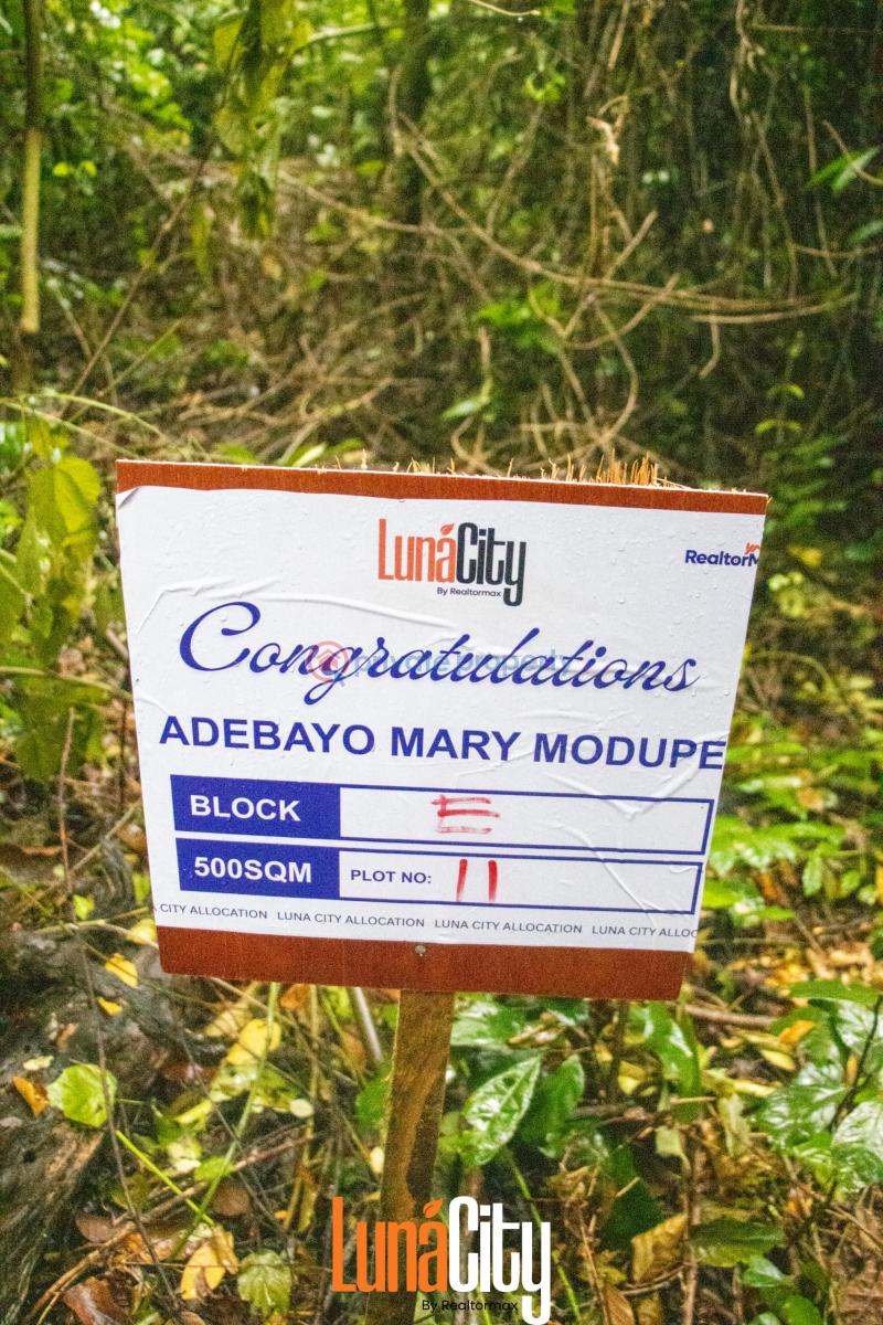 Residential Land For Sale Ajebo Obafemi Owode Ogun - 54