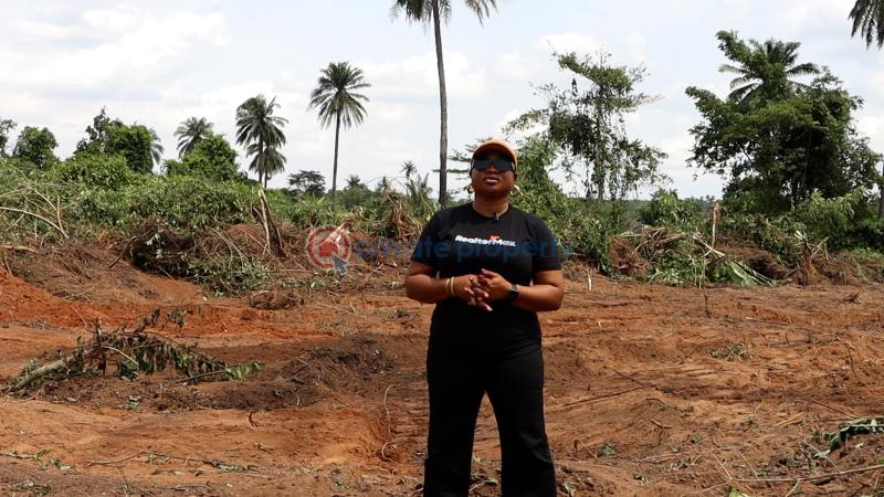 Residential Land For Sale Ajebo Obafemi Owode Ogun - 15