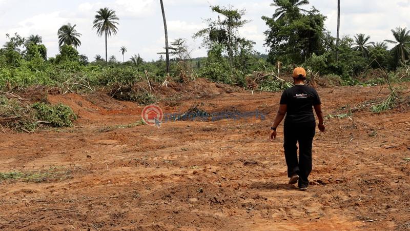 Residential Land For Sale Ajebo Obafemi Owode Ogun - 26