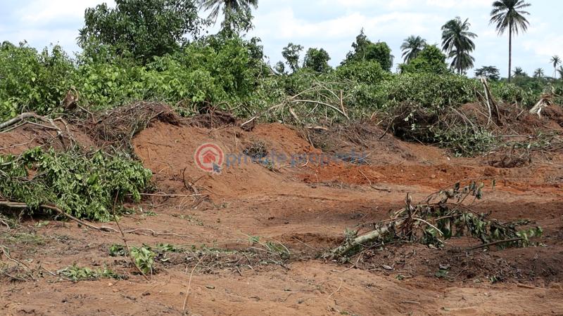 Residential Land For Sale Ajebo Obafemi Owode Ogun - 10