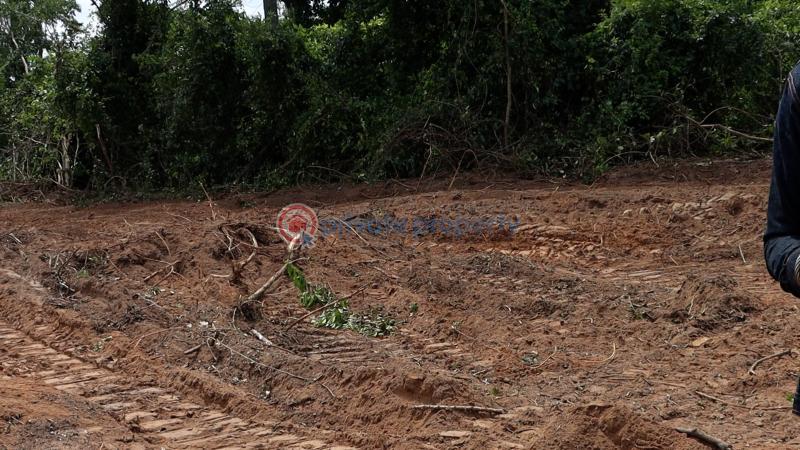 Residential Land For Sale Ajebo Obafemi Owode Ogun - 39