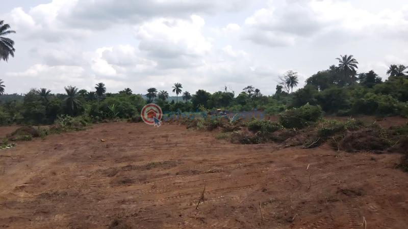 Residential Land For Sale Ajebo Obafemi Owode Ogun - 7