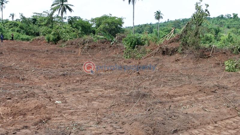 Residential Land For Sale Ajebo Obafemi Owode Ogun - 11