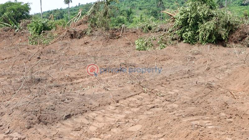 Residential Land For Sale Ajebo Obafemi Owode Ogun - 36