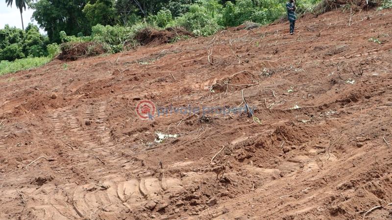 Residential Land For Sale Ajebo Obafemi Owode Ogun - 23