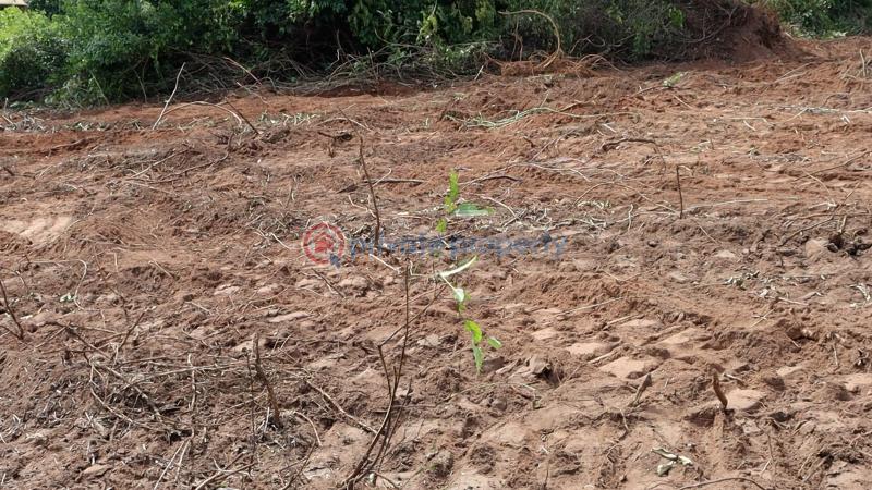 Residential Land For Sale Ajebo Obafemi Owode Ogun - 31