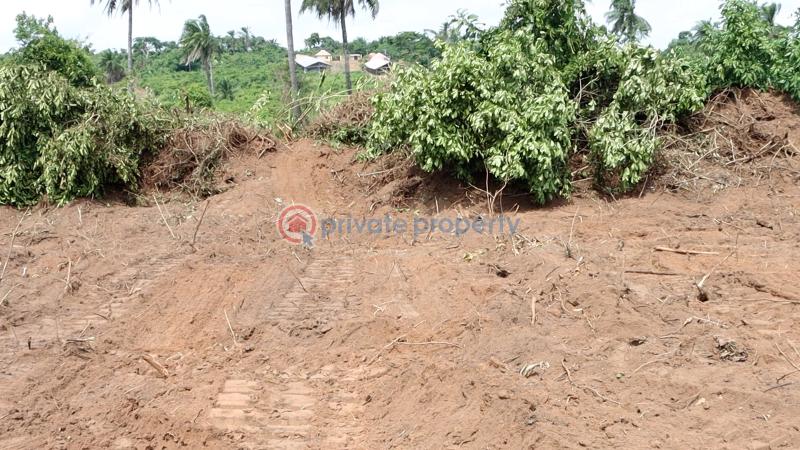 Residential Land For Sale Ajebo Obafemi Owode Ogun - 13