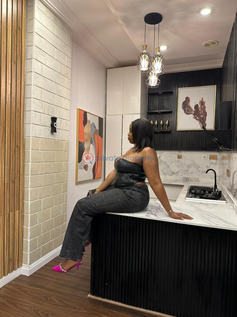 Luxurious 1 bedroom apartment - 3 1 bedroom Mini Flat Short let Chevron Drive Lekki Lagos - 3