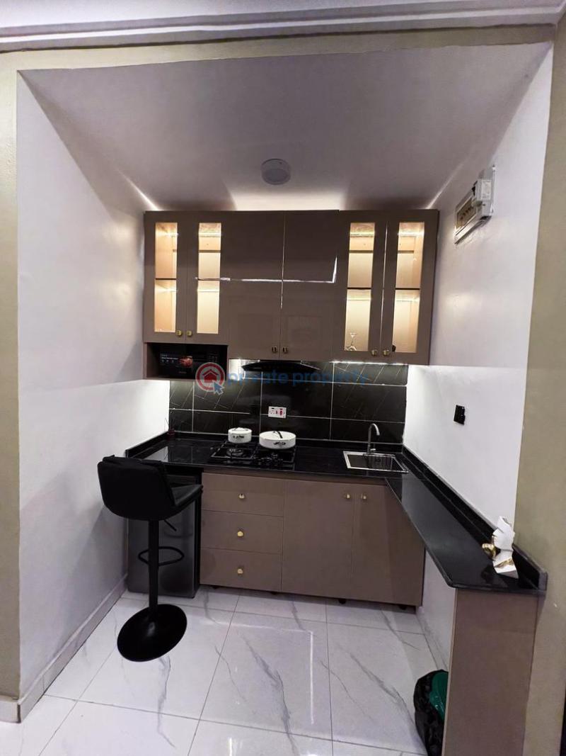 Studio Apartment Short let Surulere Lagos - 13
