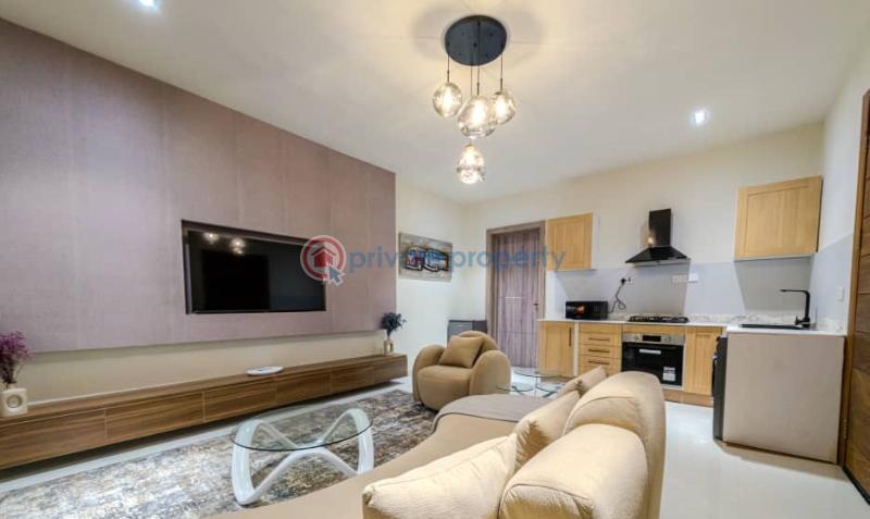 1 bedroom Mini Flat For Rent Oniru Victoria Island Lagos - 1