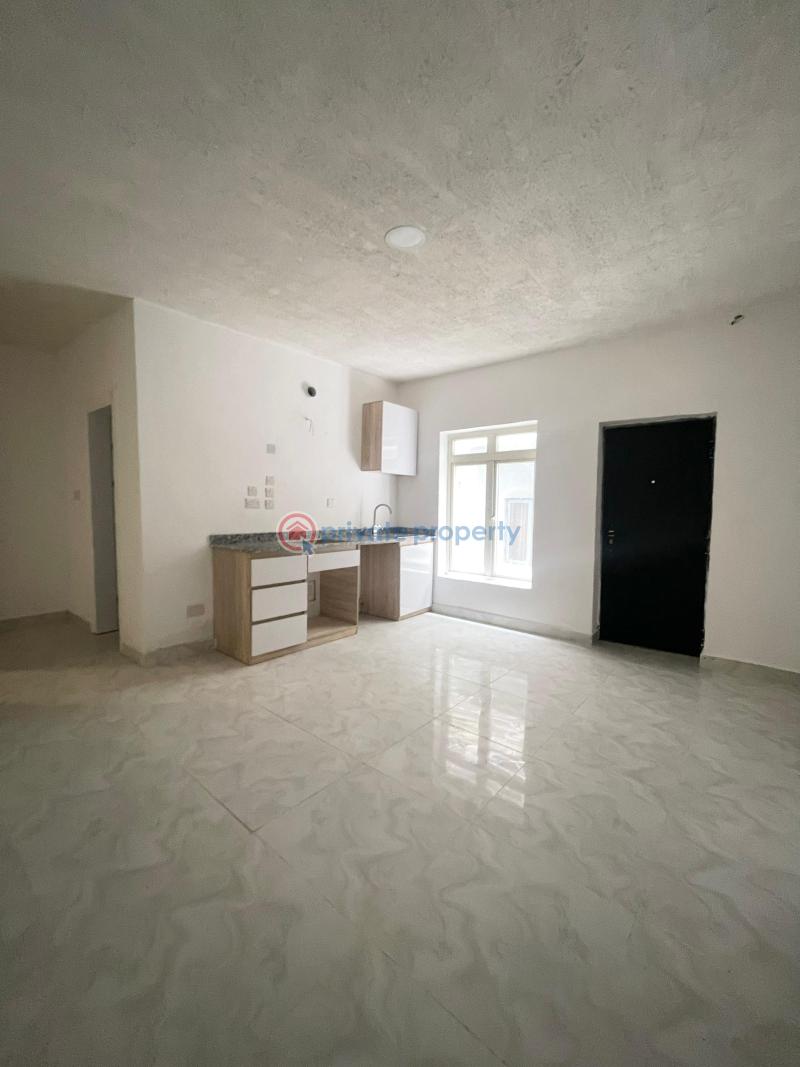 2 bedroom Flat & Apartment For Rent Off Freedom Way Lekki Phase 1 Lagos - 16