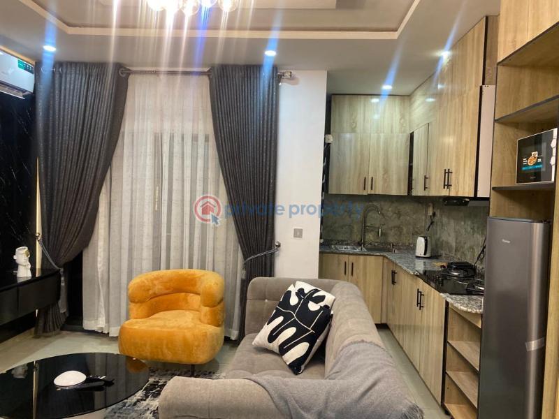 Luxury 1 bedroom apartment - 11 1 bedroom Flat & Apartment Short let Ikate Lekki Phase 1 Lagos - 11