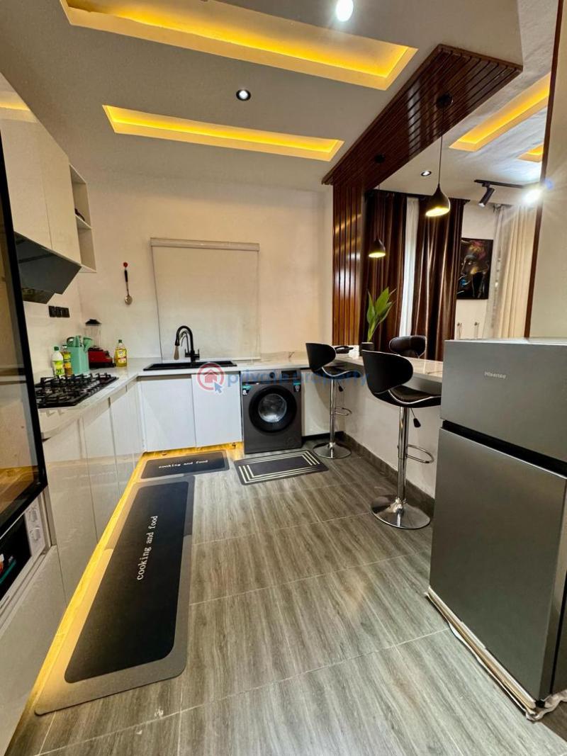 1 bedroom Mini Flat Short let Freedom Way Lekki Phase 1 Lagos - 8