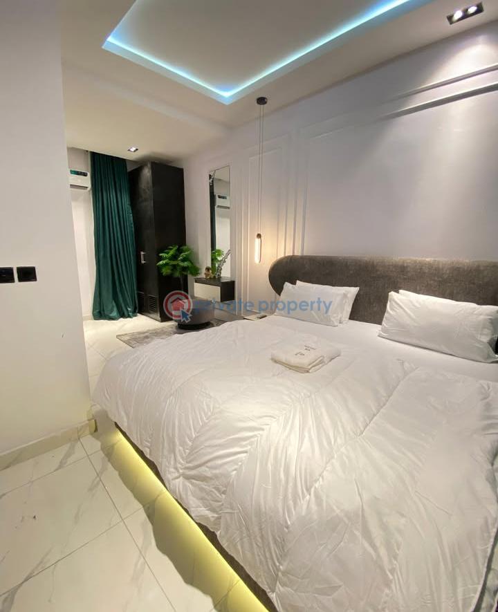1 bedroom Duplex Short let Lekki Phase 1 Lekki Lagos - 7