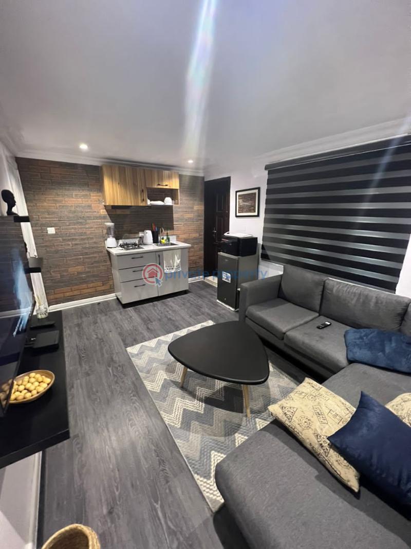 Luxury 1 bedroom apartment - 13 1 bedroom Mini Flat Short let Lekki Phase 1 Lagos - 13