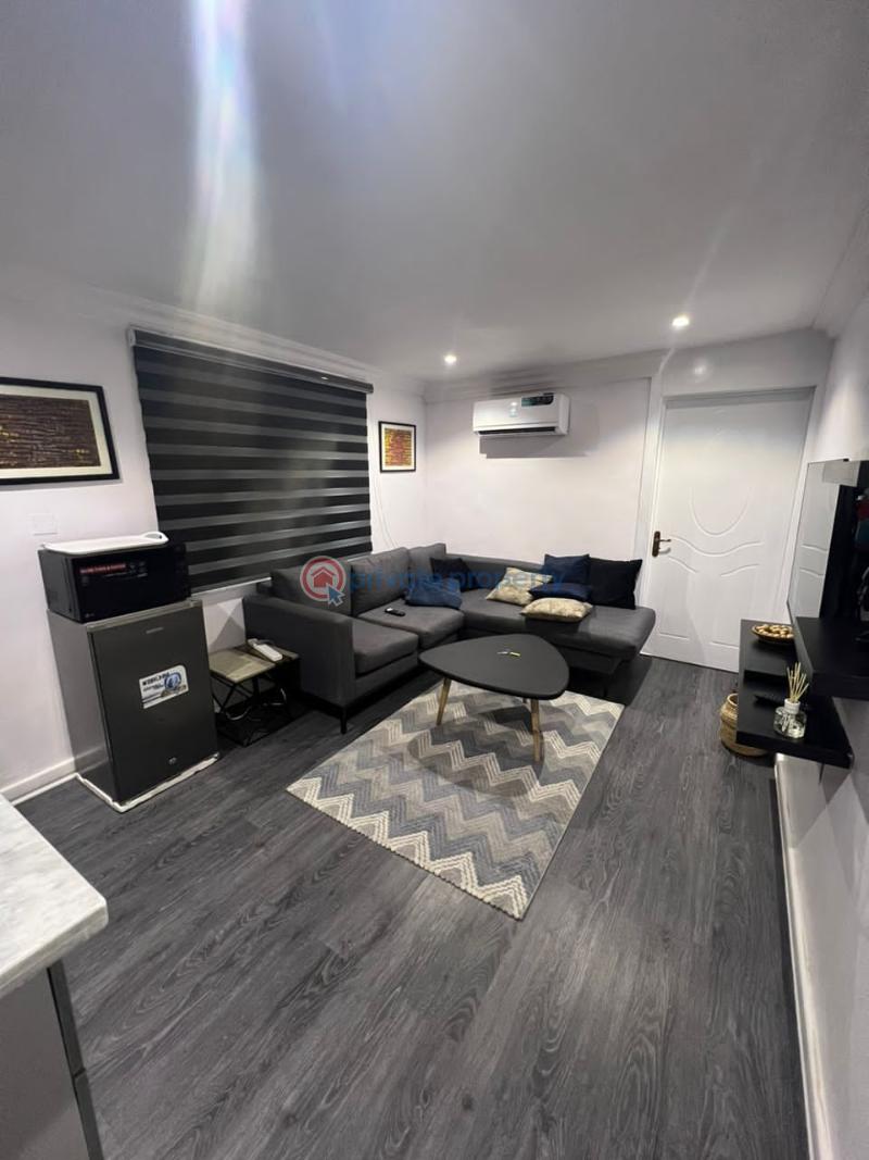 Luxury 1 bedroom apartment - 14 1 bedroom Mini Flat Short let Lekki Phase 1 Lagos - 14