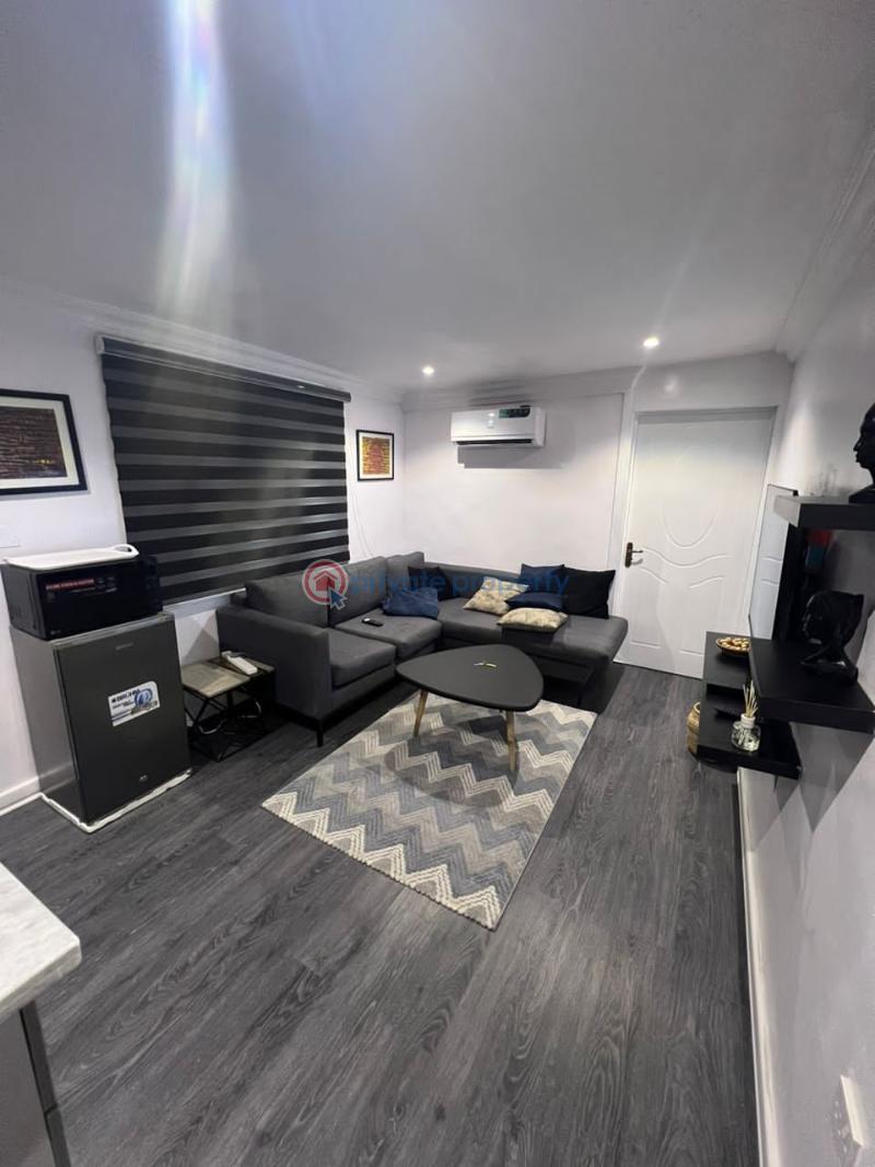 Luxury 1 bedroom apartment - 8 1 bedroom Mini Flat Short let Lekki Phase 1 Lagos - 8