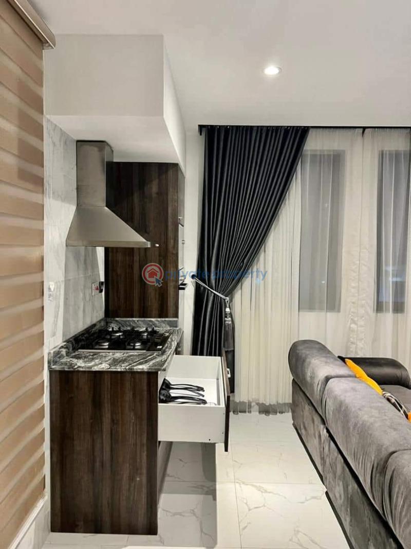 Luxury 1 bedroom serviced apartment - 5 1 bedroom Mini Flat Short let Victoria Island Lagos - 5