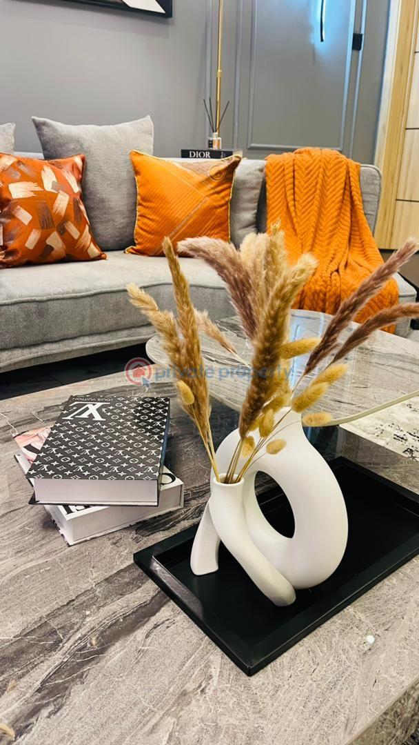 2 bedroom Block Of Flats Short let Ilasan Lekki Lagos - 5