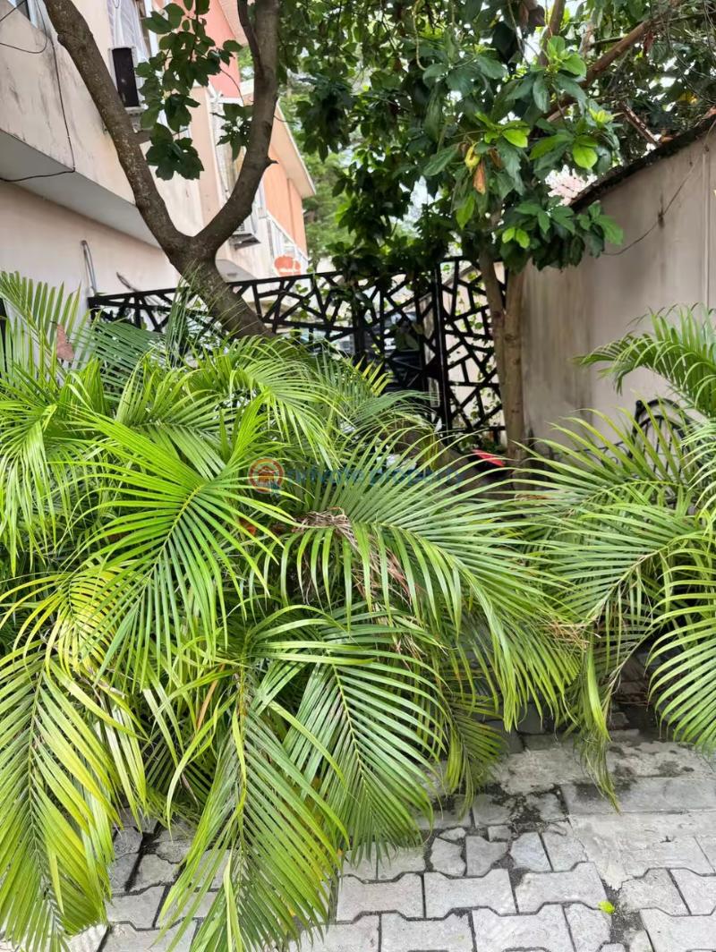 2 bedroom Block Of Flats Short let Lekki Phase 1 Lagos - 20